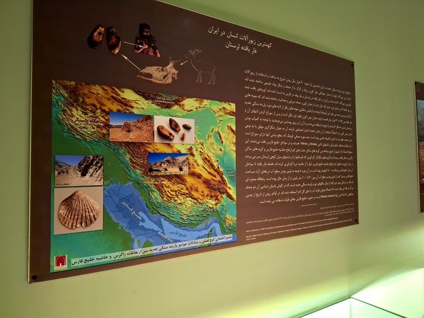 گشتی در تاریخ؛ از مدرسه دارالفنون به سمت دوره ایران باستان