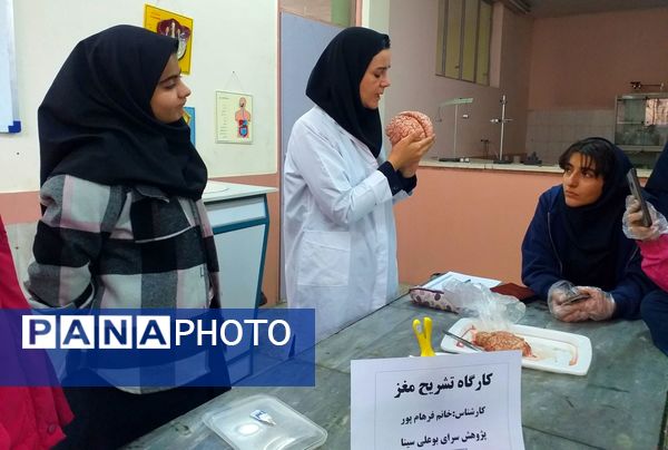 برگزاری کلاس آناتومی و تشریح مغز در پژوهش‌سرای بوعلی سینا ملارد