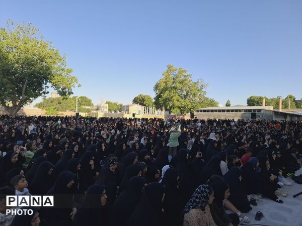 سفره جهانی حضرت رقیه (س) در حرم مطهر قیدار نبی (ع) گسترده شد