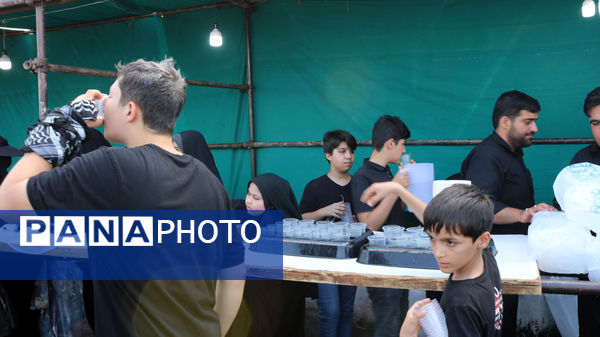 جلوه‌های خدمت‌رسانی به عاشقان اباعبدالله(ع)