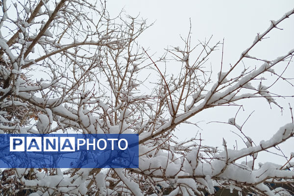 یک روز برفی در روستای بنادکوک‌ دیزه