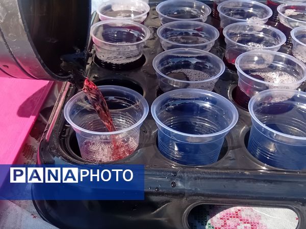 همایش جاماندگان اربعین حسینی در شهرستان بروجن