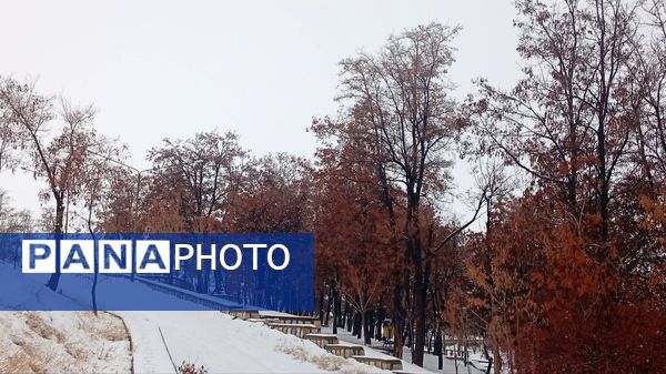 گرداب بن زیر چتر سپید برف