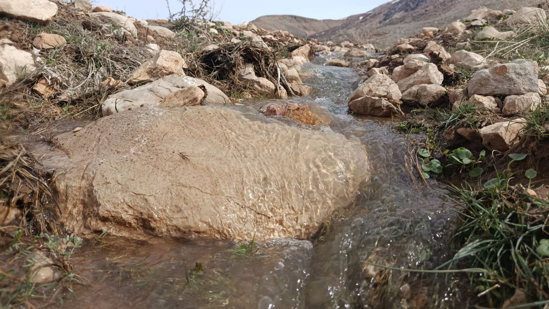 زیبایی تنگ دستنا در قاب پانا