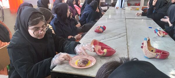 برگزاری کارگاه آموزشی تشریح قلب در آموزشگاه دخترانه عصمت ملارد
