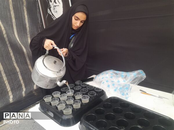 موکب راه نور