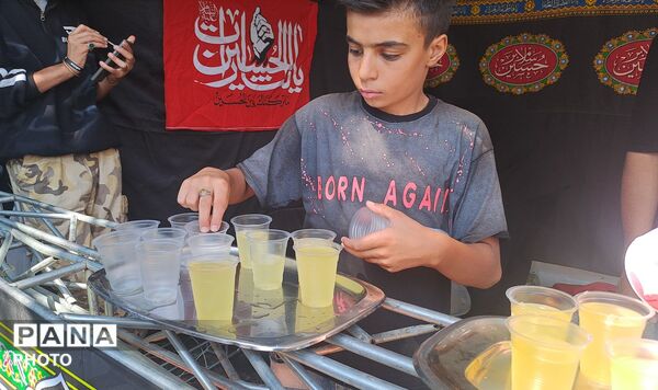  جاماندگان اربعین در مسیر دلدادگی به حسین(ع)