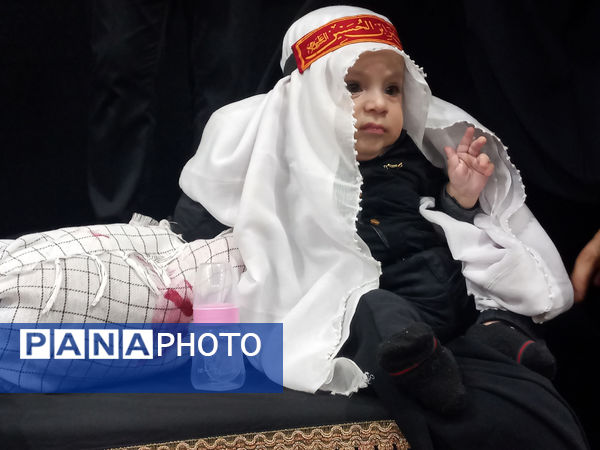 همایش شیرخوارگان حسینی(ع) در قم - 2