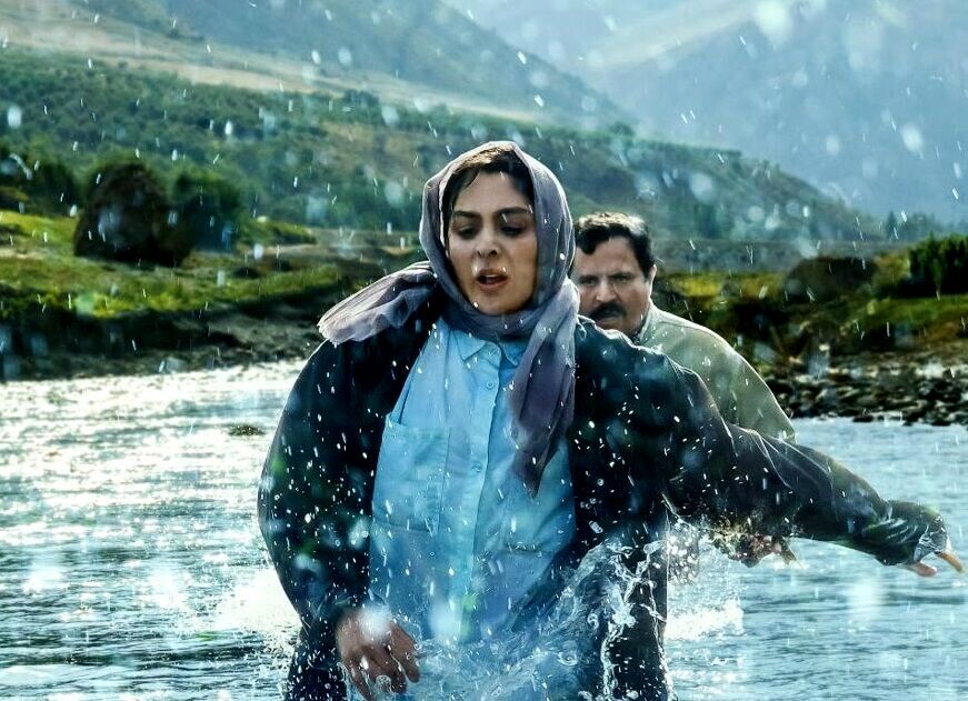 «درآغوش درخت» پیام‌آور صلح و ‌دوستی ایرانیان است