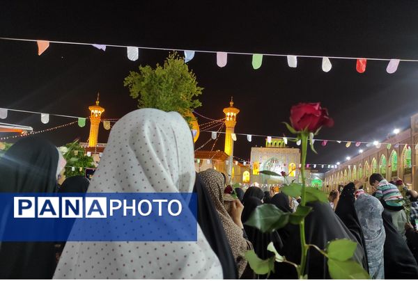 شادپیمایی بزرگداشت حضرت شاهچراغ(ع)