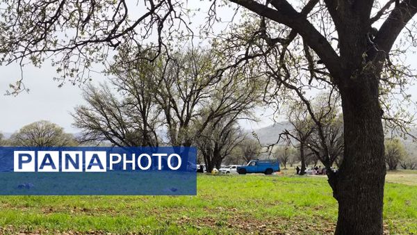 روز طبیعت در یاسوج