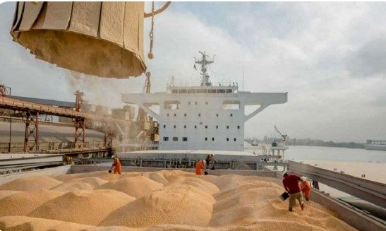 اثر اختلات ارزی بیش از تحریم‌ها است