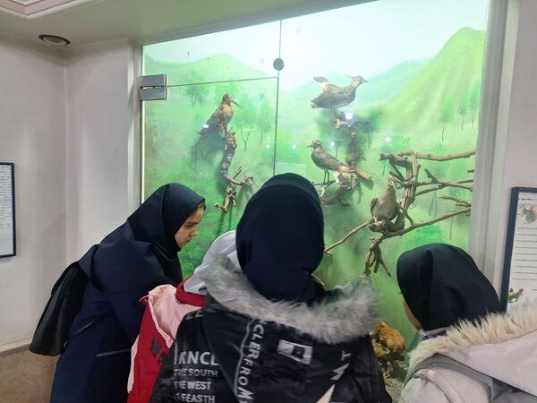 اردوی علمی ،تفریحی دانش آموزان مدرسه مهندس رحمانی فرد در پژوهش سرای علامه طباطبایی