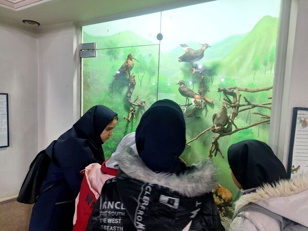 اردوی علمی ،تفریحی دانش آموزان مدرسه مهندس رحمانی فرد در پژوهش سرای علامه طباطبایی