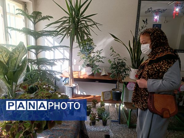  برگزاری جشنواره کارینو در کانون شهدای فرهنگی ملارد