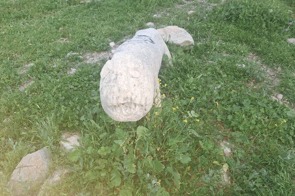 قبرستانی تاریخی و سرسبز به قدمت چند صد ساله در فارس