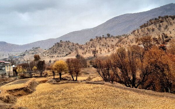 بازگشت باران به میانکوه پس از ماه‌ها خشکسالی
