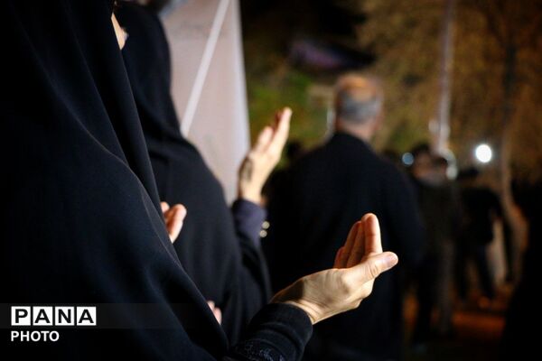 شب‌های متفاوت جهرم