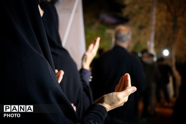 شب‌های متفاوت جهرم