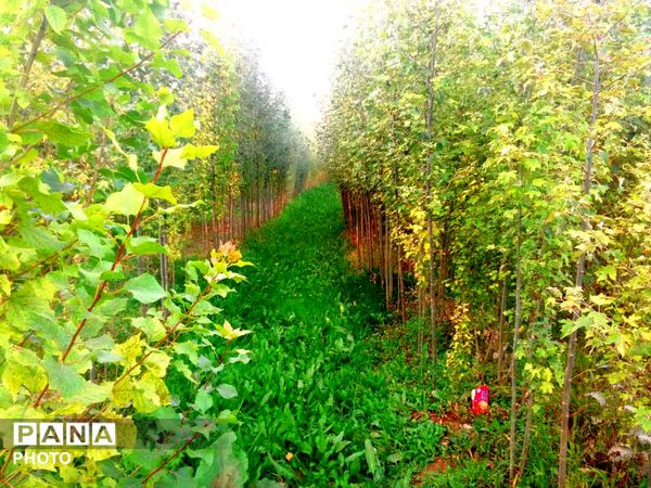 وانان؛ جایی که طبیعت خودش را آشکار می‌کند
