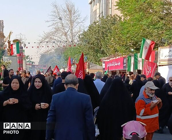 روایت حضور عاشقان حسینی در مسیر دلدادگی