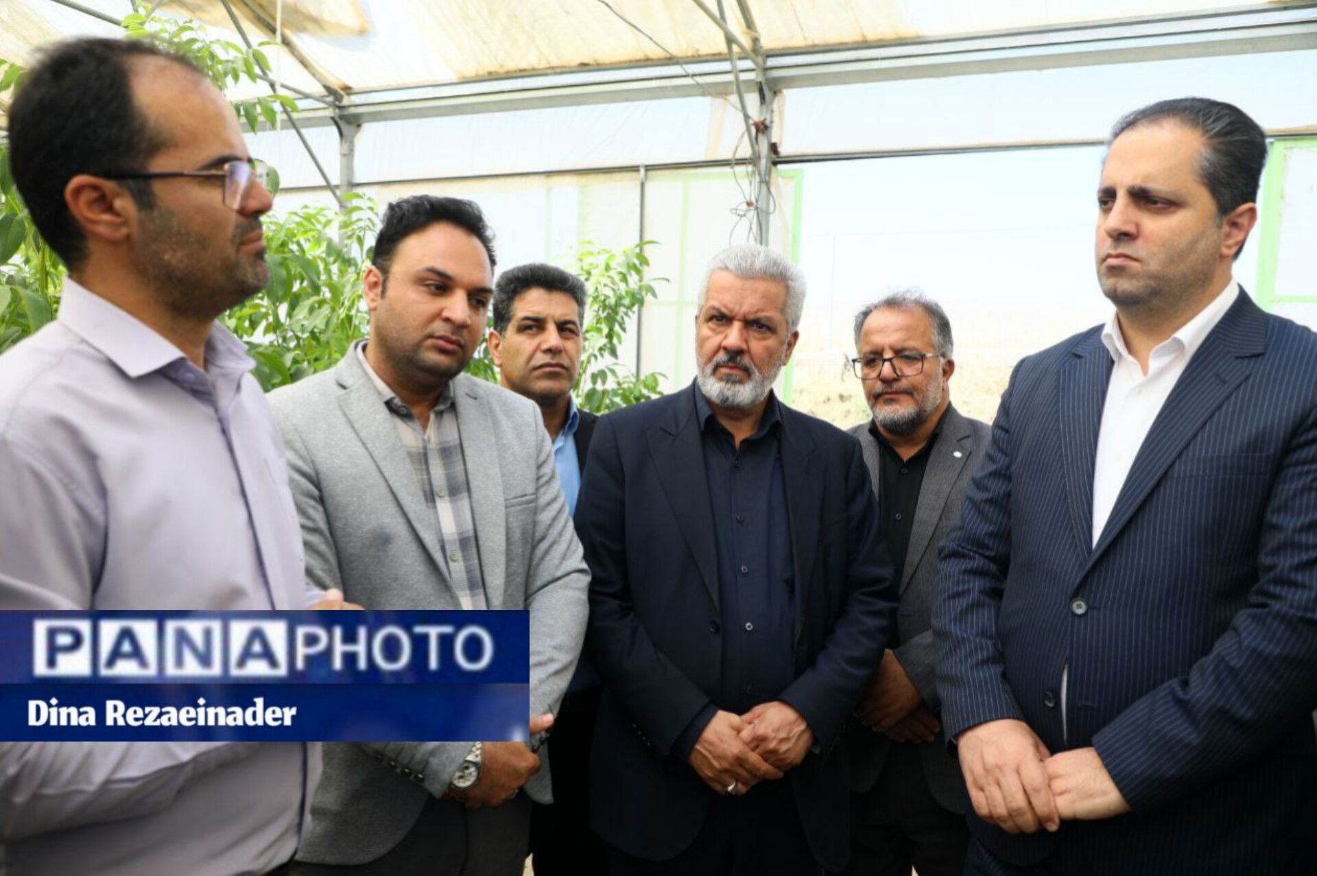 معاون اقتصادی استانداری همدان پیگیر توسعه زنجیره تولید گردو شد