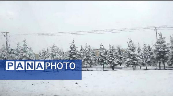 بارش دل‌انگیز برف‌ در اولین روزهای بهمن ماه
