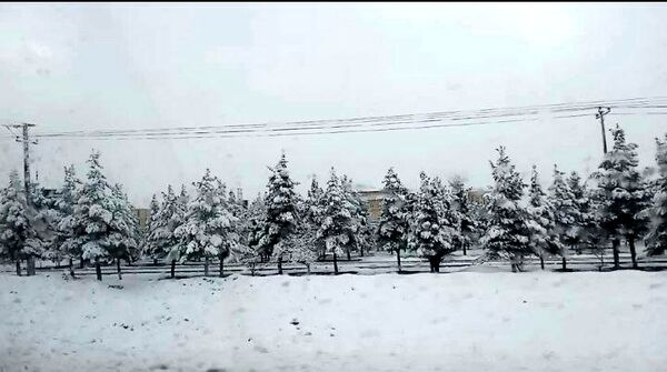 بارش دل‌انگیز برف‌ در اولین روزهای بهمن ماه