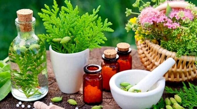 سفری به دنیای گیاهان دارویی؛ مرز میان سلامت و خطر