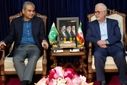 روابط ایران و پاکستان باید به طور چشمگیر و ملموس ارتقا یابد