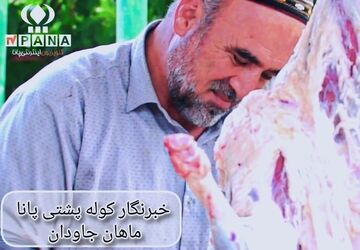 عید قربان در کنار ترکمن‌های راز و جرگلان 