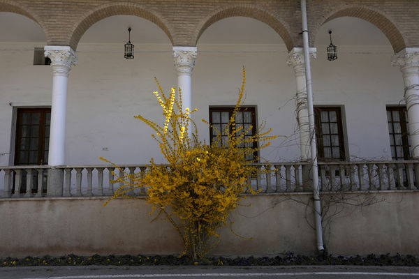 مجموعه فرهنگی تاریخی نیاوران