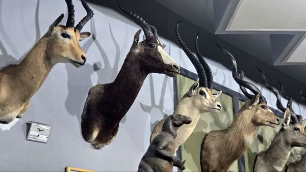 بازدید دانش آموز خبرنگاران پانا از موزه ی تنوع زیستی پارک پردیسان تهران