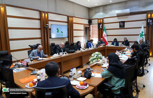 گامی نو در ساماندهی آماری و فرهنگی صنعت اسباب‌بازی