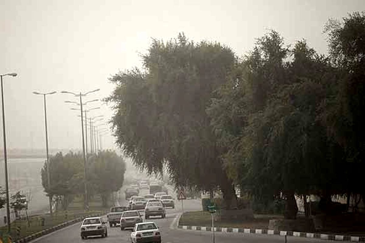 وزش باد شدید و گرد و خاک در مرکز و نوار جنوبی کشور 