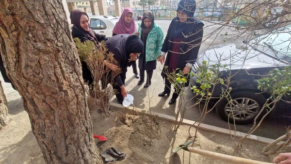 زینت بخشی مدارس شهرستان قدس با کاشت نهال های جوان