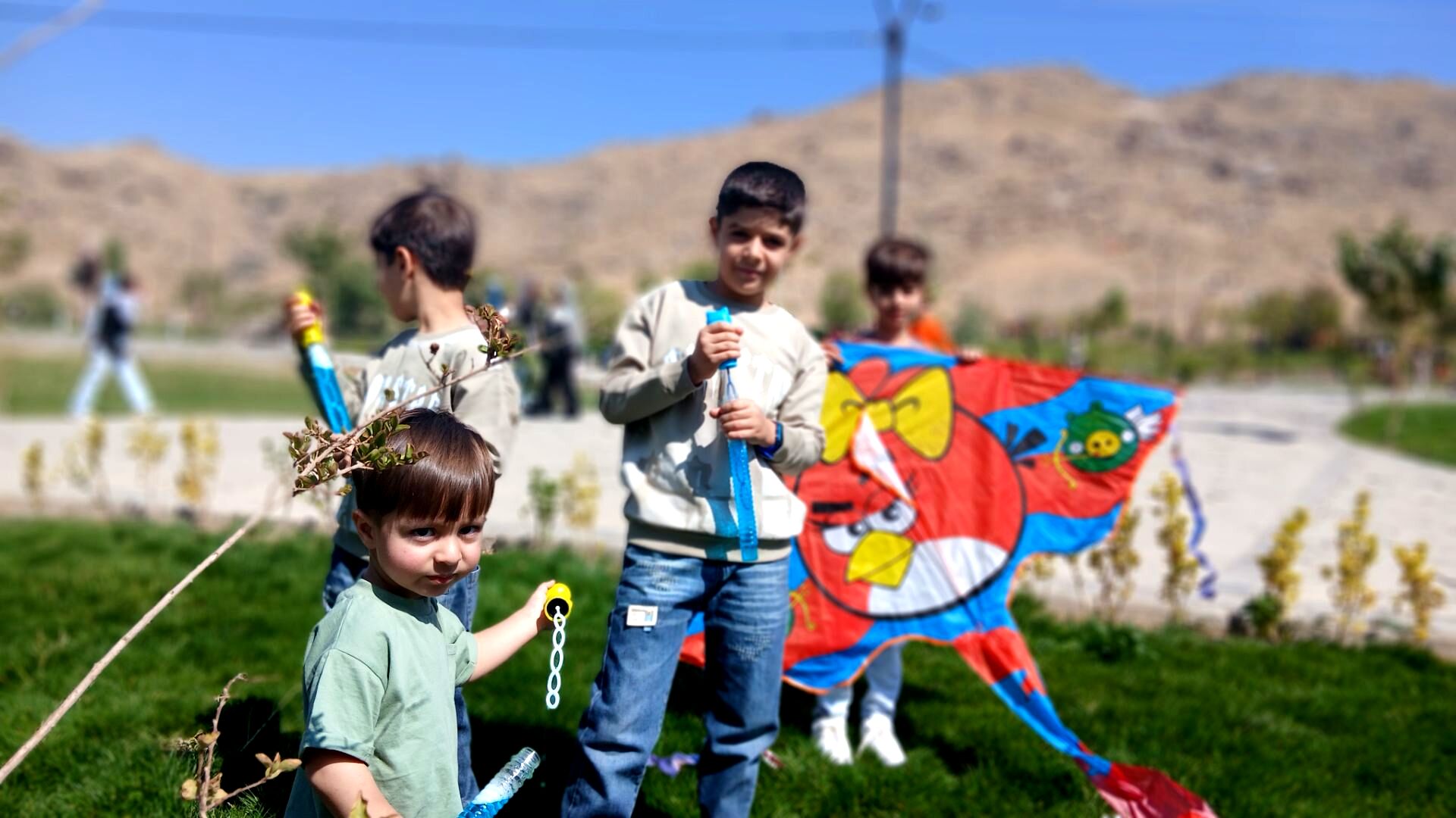 پرواز بادبادک‌ها