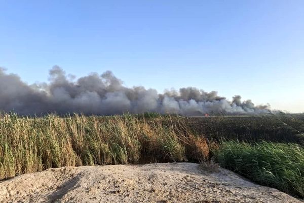 دود سیاه آسمان قم، ناشی از سوزاندان ضایعات در حاشیه نیزار است