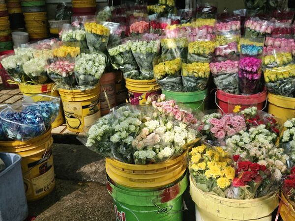 حال و هوای خاص در بازار گل محلاتی