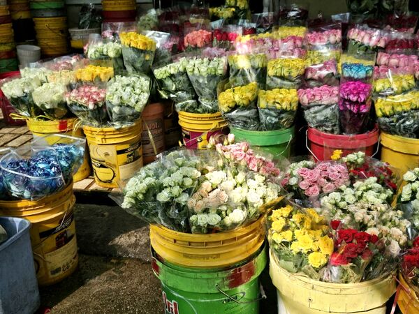 حال و هوای خاص در بازار گل محلاتی