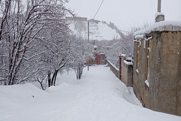 برف بارید و خدا پاکی خود را به شهر زیبایی بار هدیه کرد