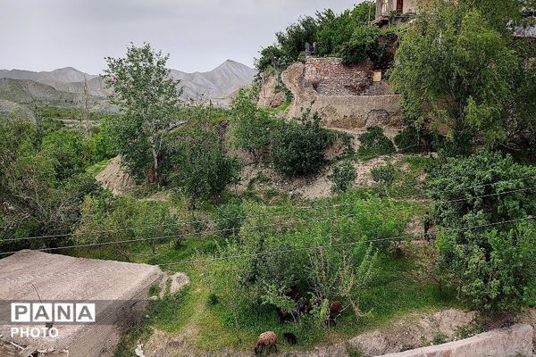 حال و هوای شهر بار نیشابور در فصل زیبای بهار