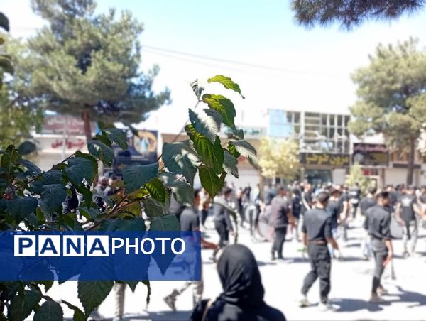 مراسم عزاداری و زنجیر زنی به مناسبت شهادت امام حسن عسکری«ع»