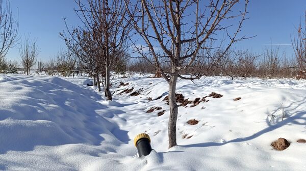 منظره زیبای برف پاییزی در باغات شهرستان نیشابور 