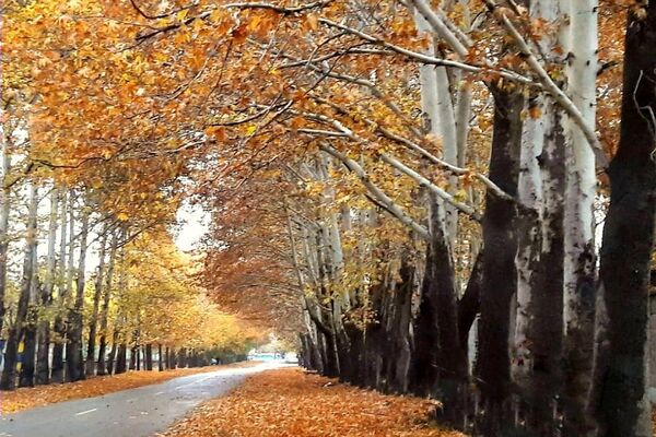 هرچه می‌گذرد، بیشتر به شبی سردتر و طولانی‌تر نزدیک می‌شویم