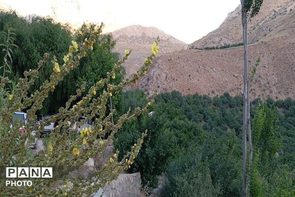 ارتفاعات شهر بار ذخیره‌گاه گیاهان دارویی کمیاب-۱