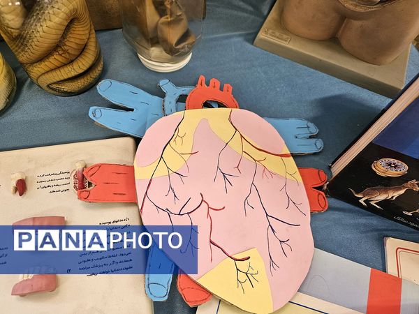 برپایی نمایشگاه علمی- پژوهشی و فرهنگی-هنری توسط دانش آموزان رشته علوم تجربی 