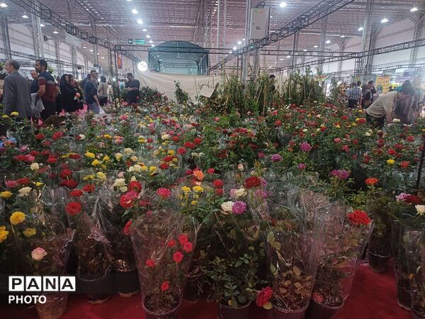 نمایشگاه گل و گیاه و سوغات در همدان