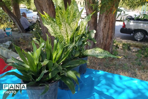 «هزار بازار در یک میدان» تلاقی هنر، مهارت و اقتصاد محلی