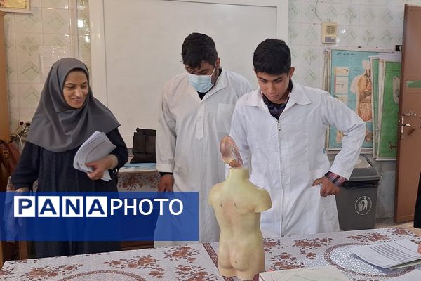 جشنواره خوارزمی فرصتی برای کشف استعدادهای دانش‌آموزان 